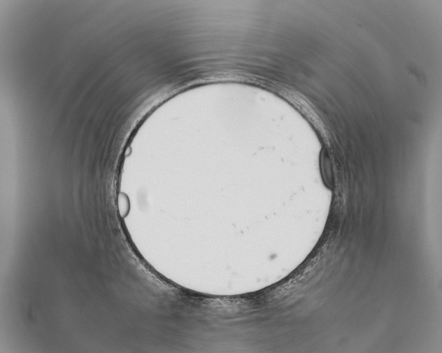 X0000111390805200908211400