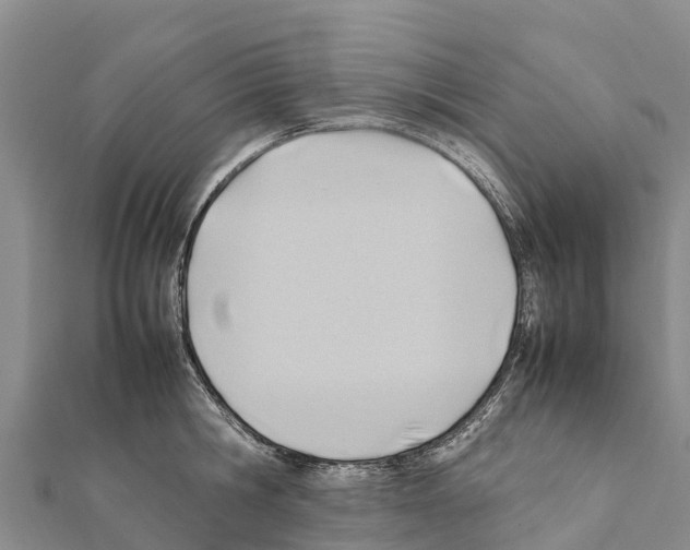 X0000111390806200908211400