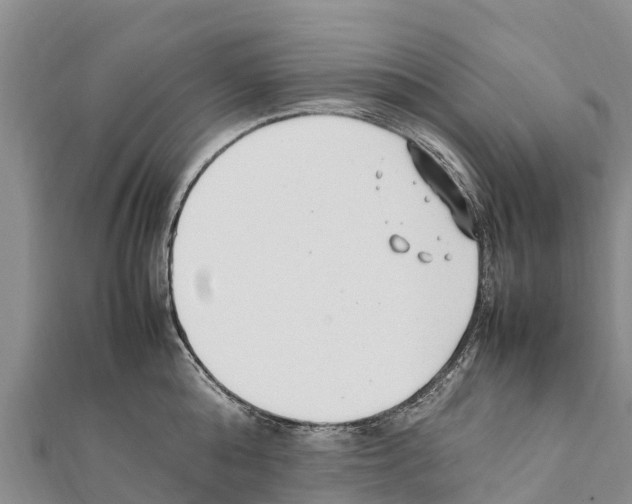 X0000111390808200908211400