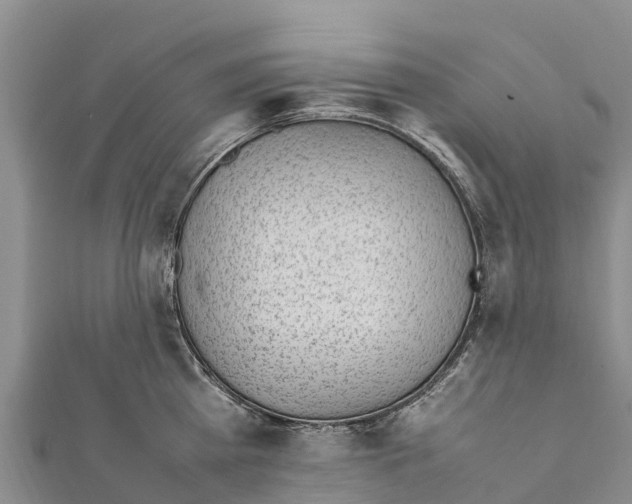 X0000111390809200908211400