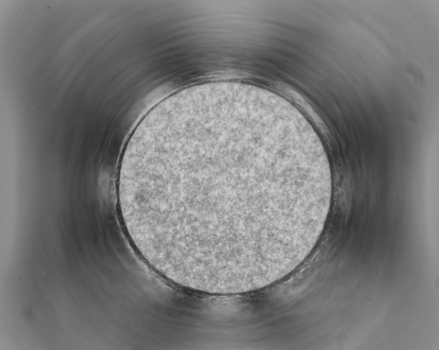 X0000111390810200908211400
