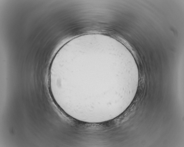 X0000111390811200908211400