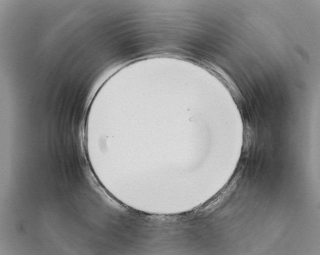 X0000111390812200908211400