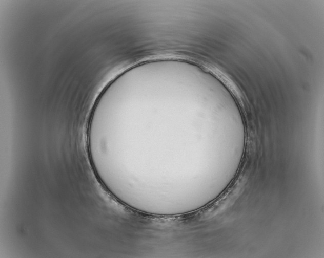X0000111390813200908211400