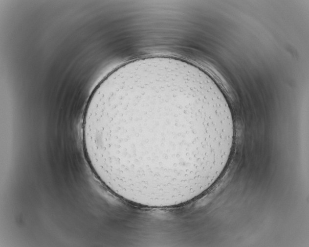 X0000111390814200908211400