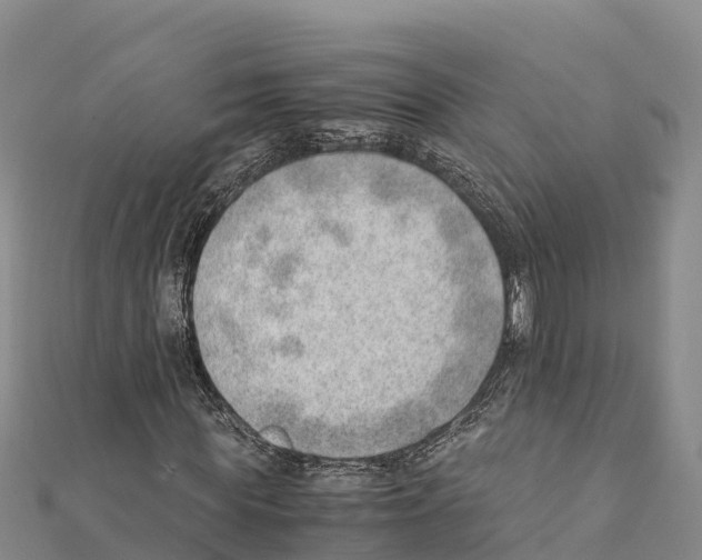 X0000111390819200908211400