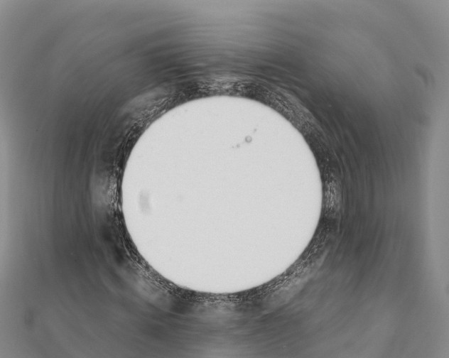 X0000111390820200908211400