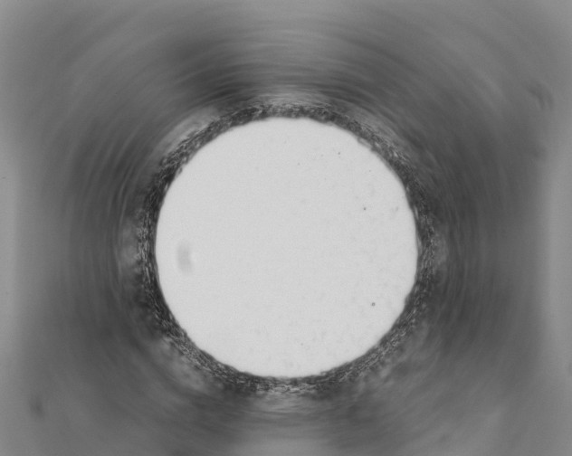 X0000111390824200908211400