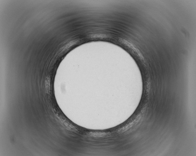 X0000111390825200908211400