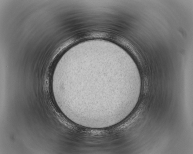 X0000111390827200908211400