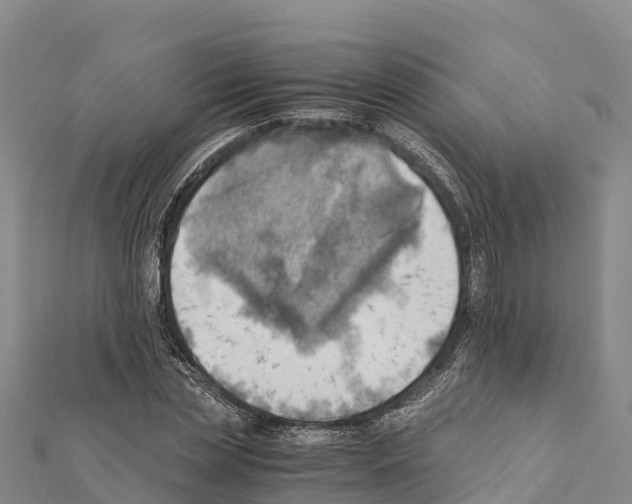 X0000111390829200908211400