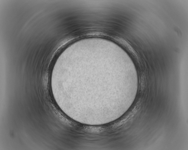 X0000111390831200908211400
