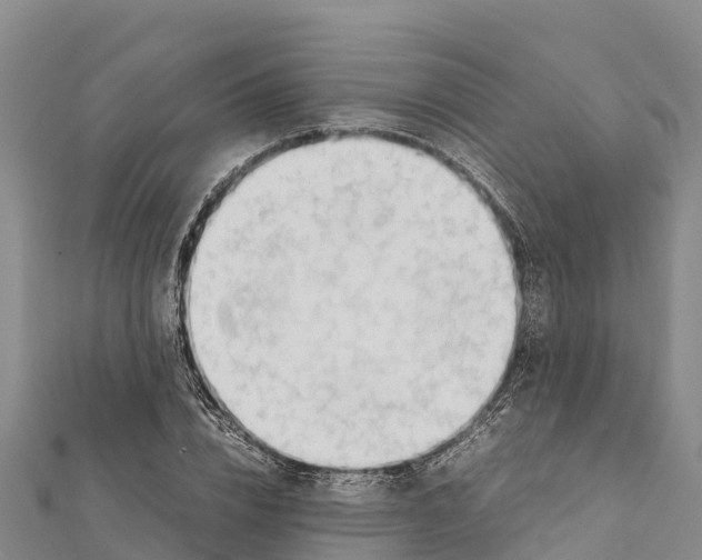 X0000111390832200908211400
