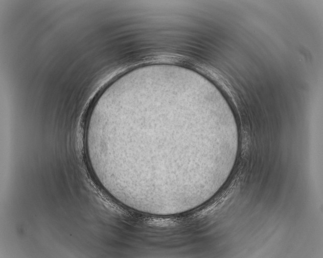 X0000111390835200908211400