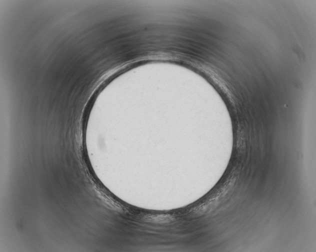X0000111390837200908211400