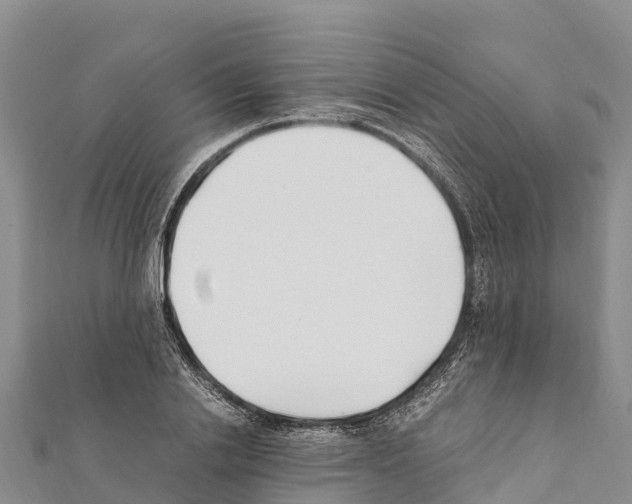 X0000111390838200908211400