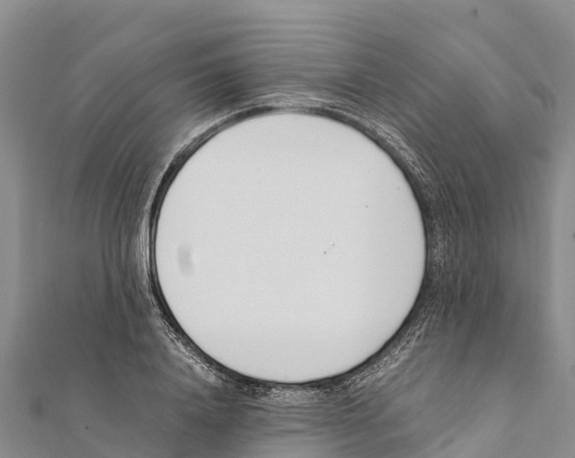 X0000111390840200908211400