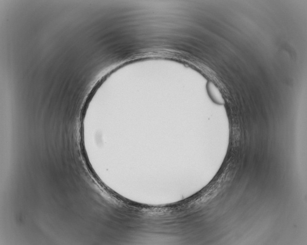 X0000111390846200908211400