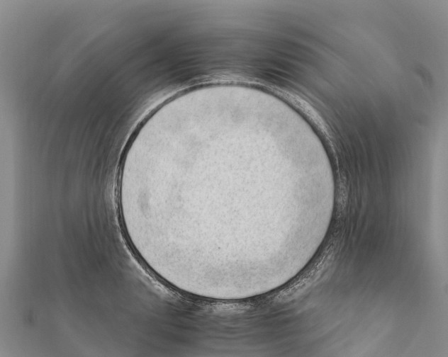 X0000111390847200908211400