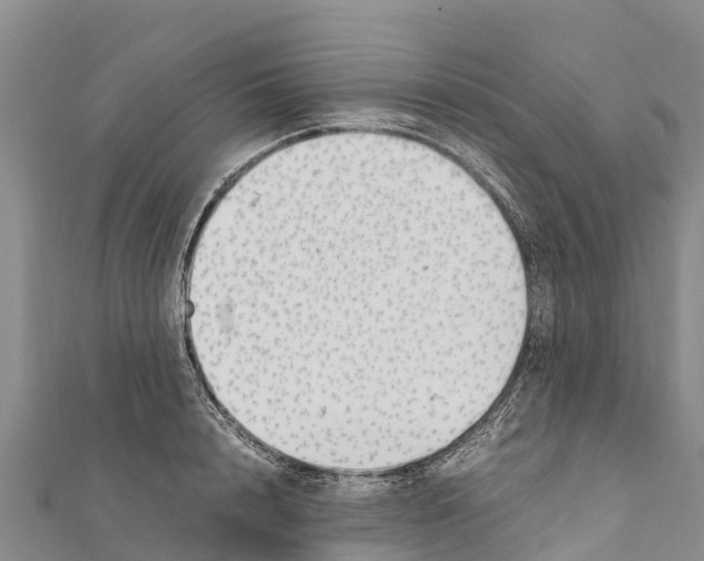 X0000111390848200908211400