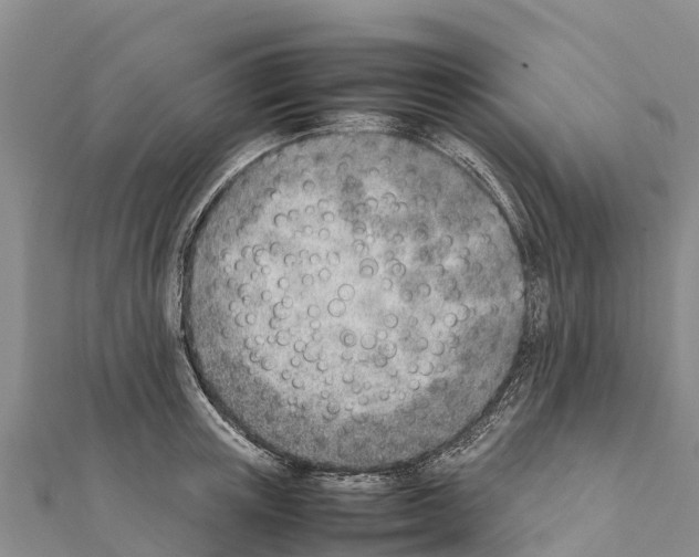 X0000111390851200908211400