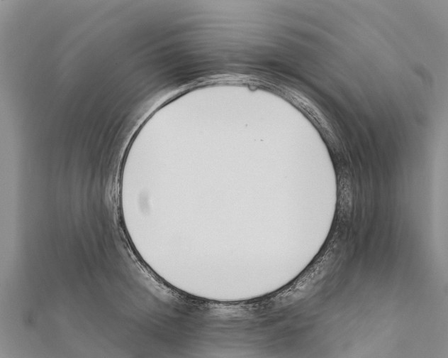 X0000111390852200908211400