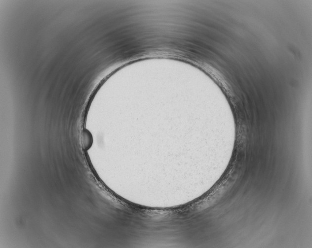 X0000111390854200908211400