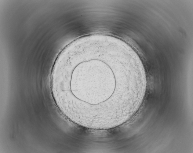 X0000111390856200908211400