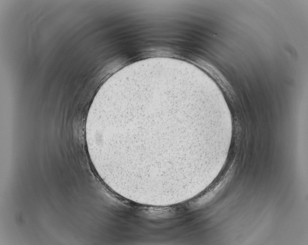 X0000111390857200908211400