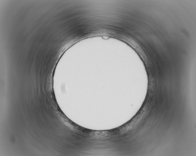 X0000111390858200908211400