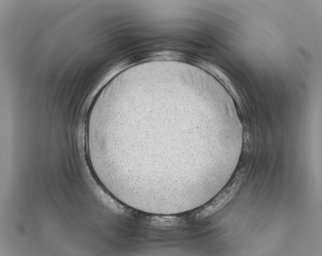 X0000111390859200908211400