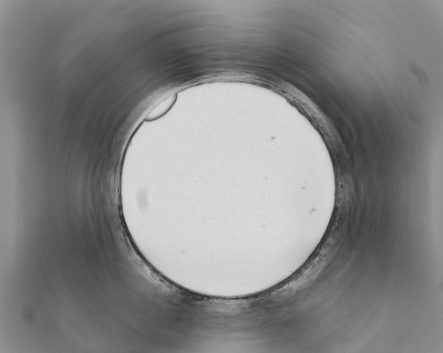X0000111390860200908211400