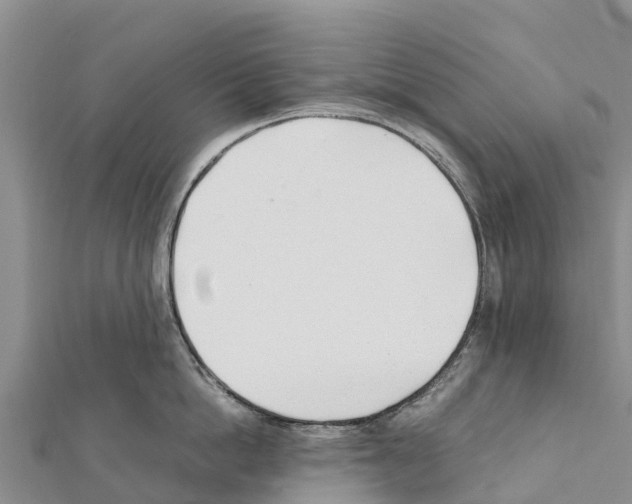 X0000111390862200908211400