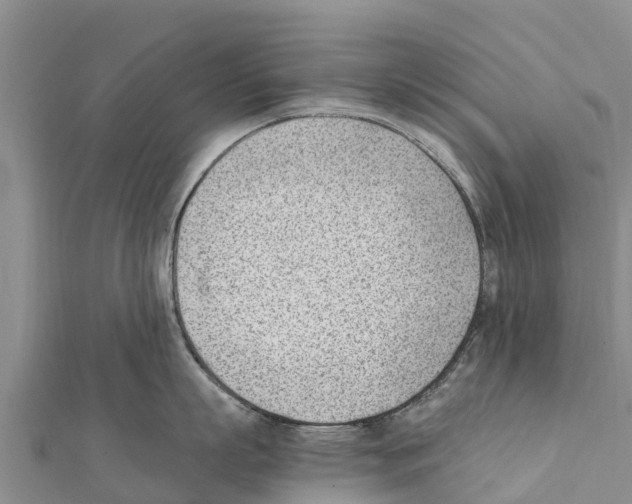 X0000111390863200908211400