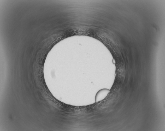 X0000111390865200908211359