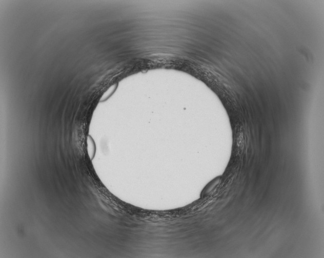 X0000111390868200908211359