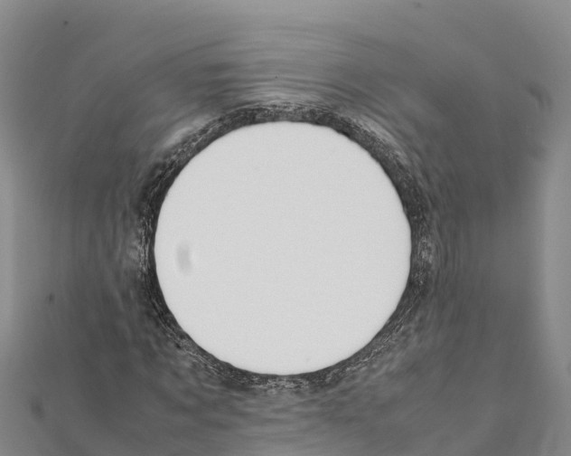 X0000111390869200908211359