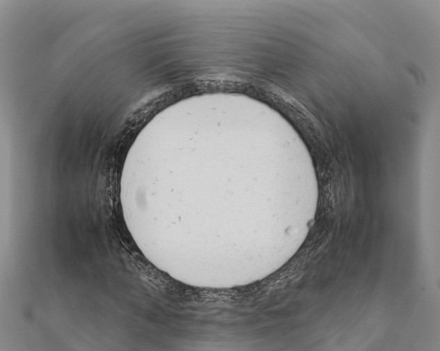 X0000111390870200908211359