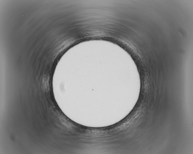 X0000111390873200908211359