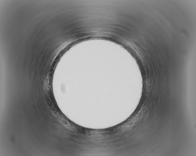 X0000111390875200908211359