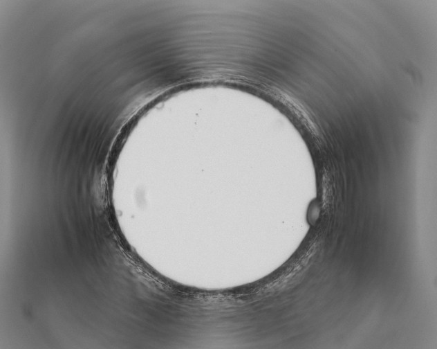 X0000111390876200908211359