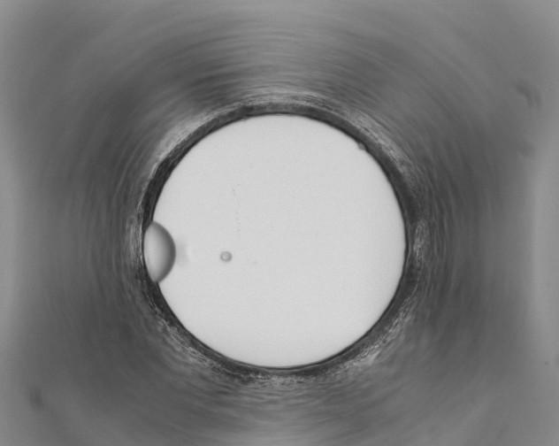 X0000111390877200908211359