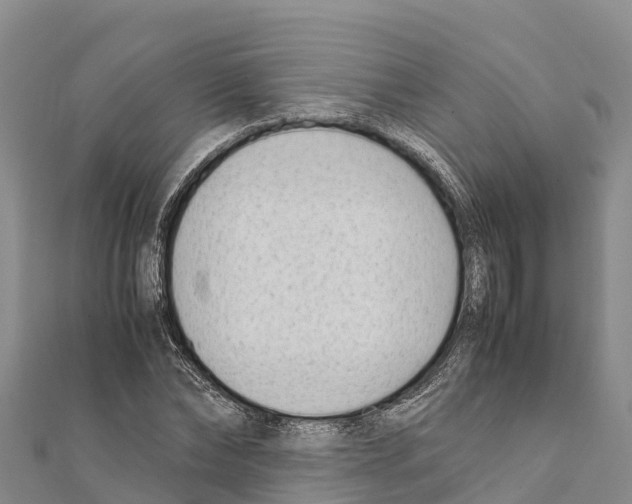 X0000111390878200908211359