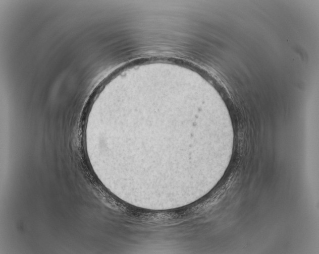 X0000111390879200908211359