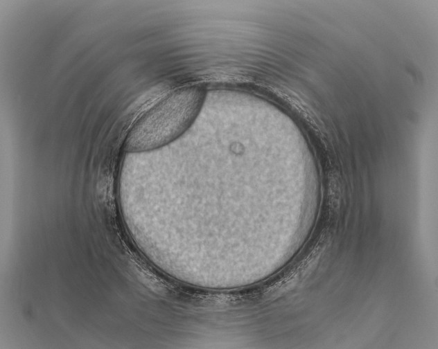 X0000111390881200908211359