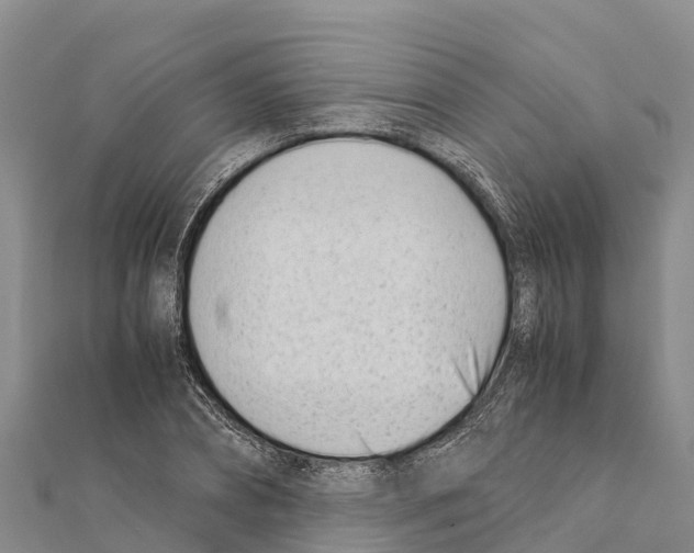 X0000111390882200908211359
