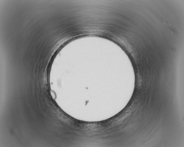 X0000111390883200908211359