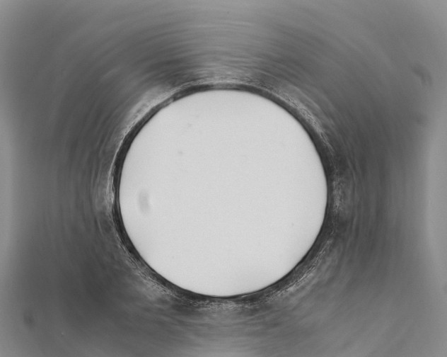 X0000111390885200908211359