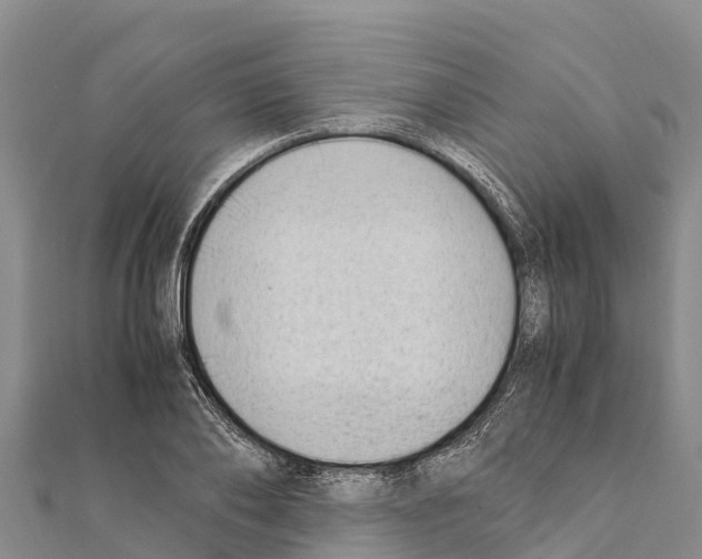 X0000111390886200908211359
