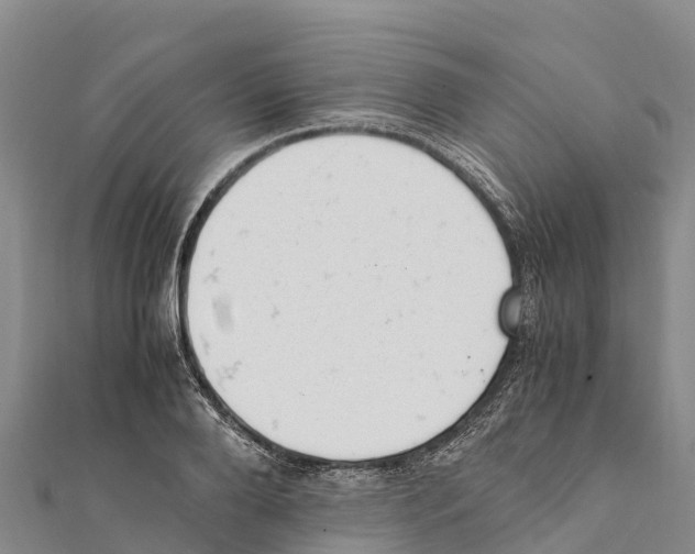 X0000111390888200908211359
